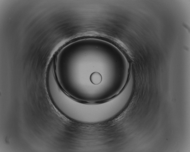 X0000094921326200711291303