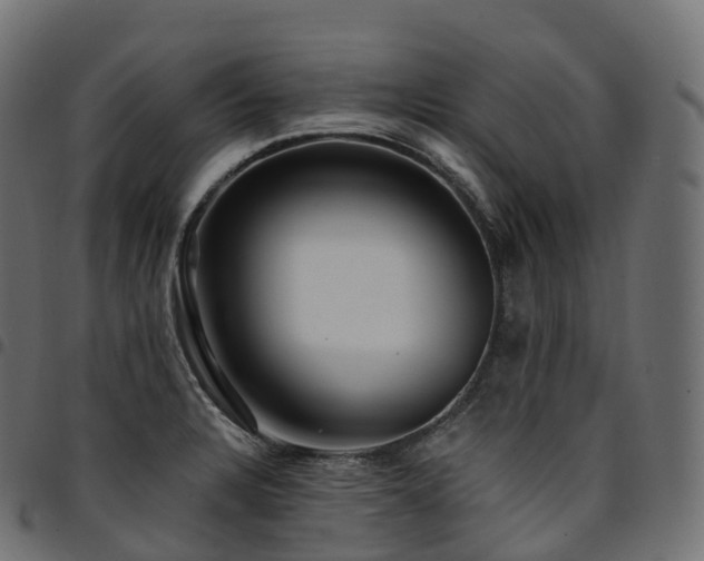 X0000094921328200711291303