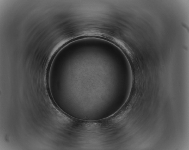 X0000094921331200711291303