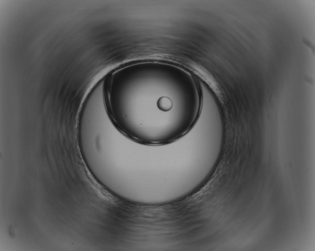X0000094921332200711291303