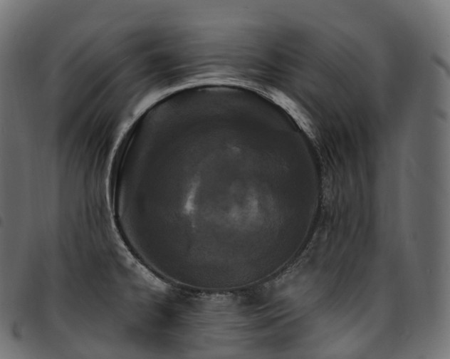 X0000094921334200711291303