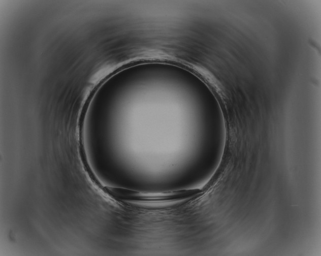 X0000094921335200711291303
