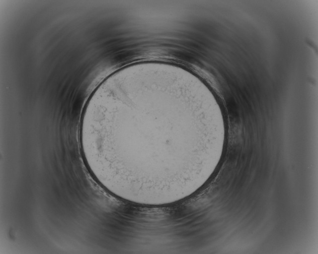 X0000094921338200711291303