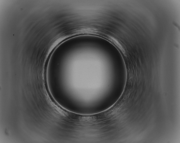 X0000094921339200711291303