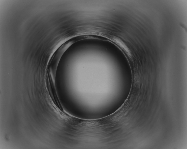X0000094921340200711291303