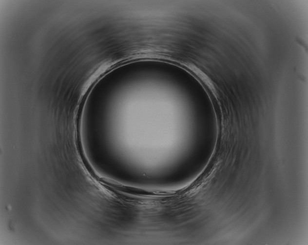 X0000094921341200711291303