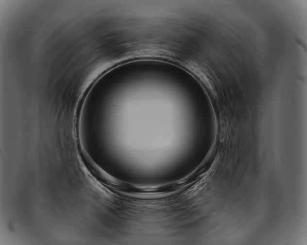 X0000094921342200711291303