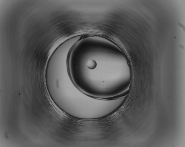 X0000094921344200711291303