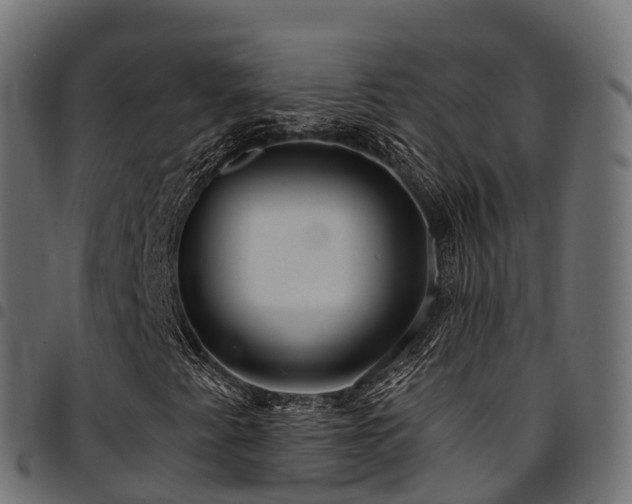 X0000094921345200711291303