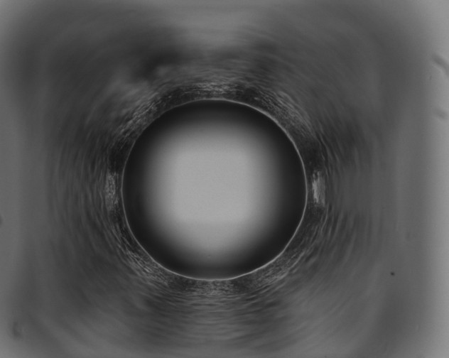 X0000094921347200711291303