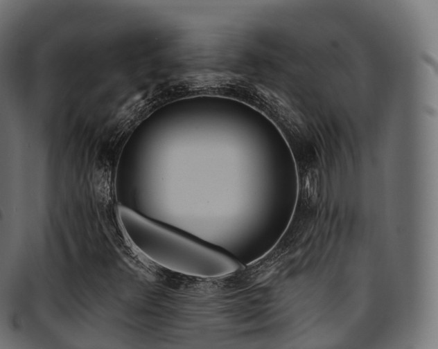 X0000094921348200711291303