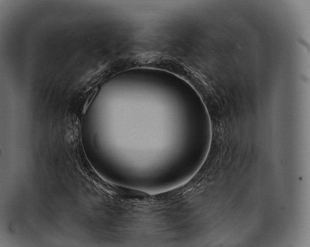 X0000094921349200711291303