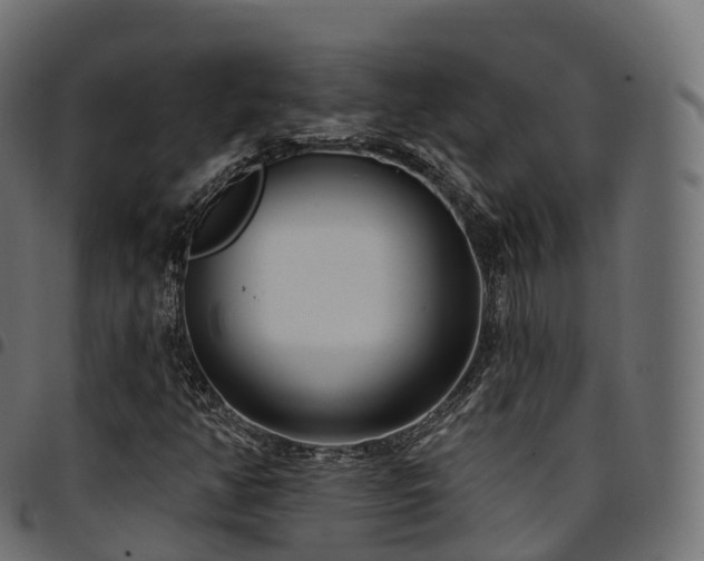 X0000094921350200711291303