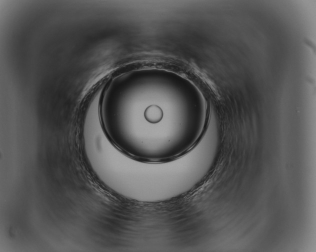 X0000094921352200711291303