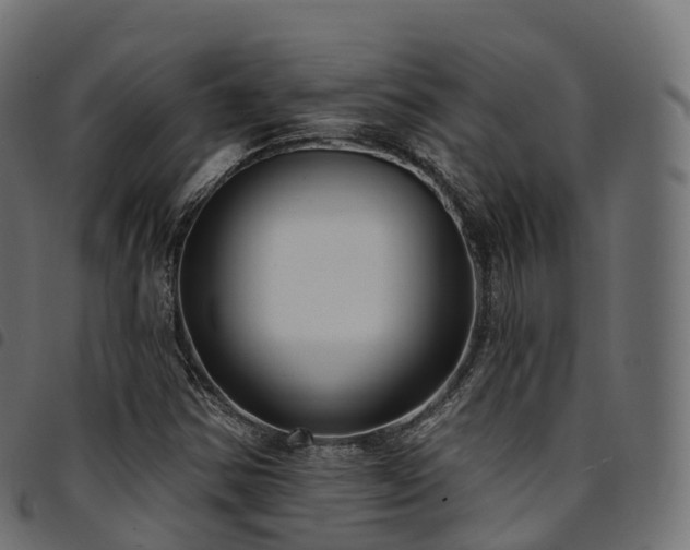 X0000094921354200711291303