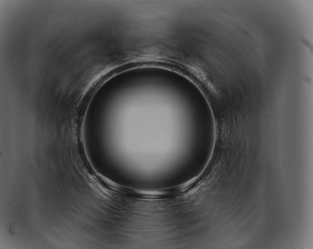 X0000094921356200711291303