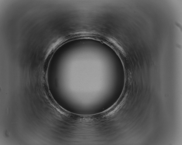 X0000094921357200711291303