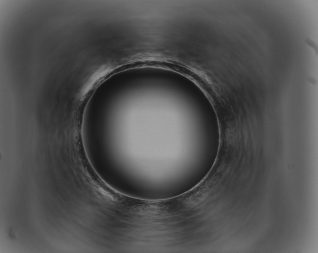 X0000094921359200711291303