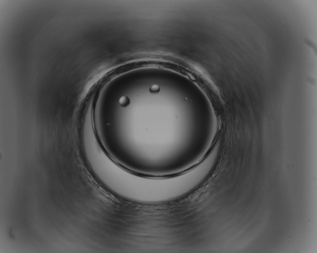 X0000094921360200711291303