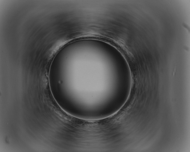 X0000094921363200711291303