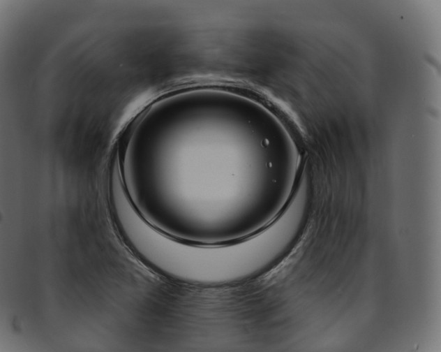 X0000094921365200711291303