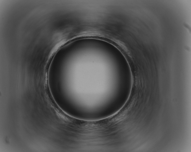 X0000094921366200711291302