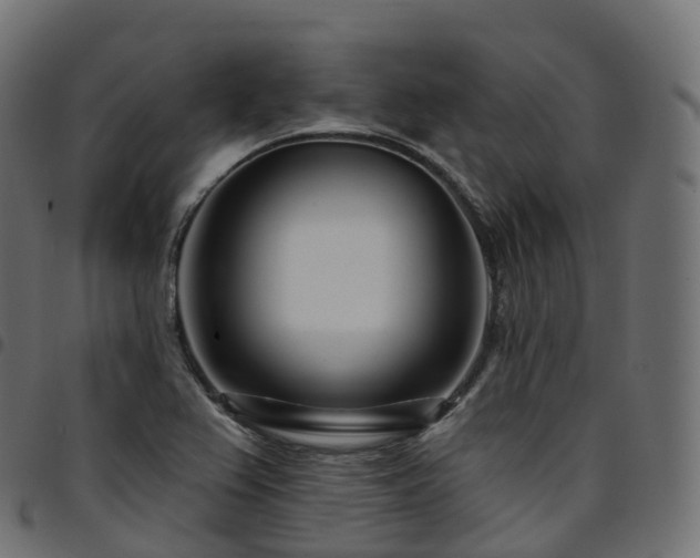 X0000094921367200711291302