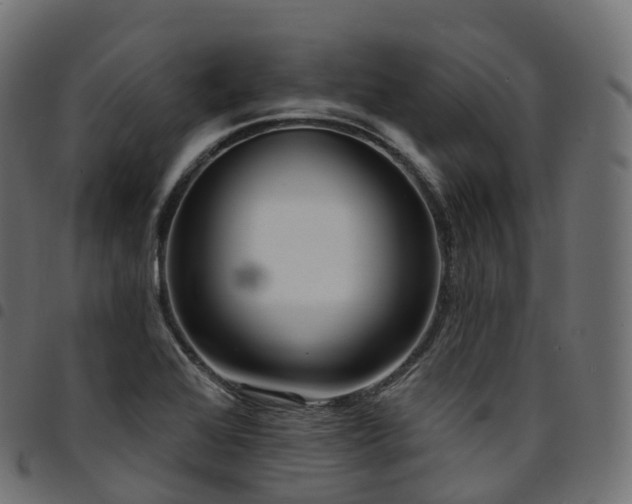 X0000094921368200711291302