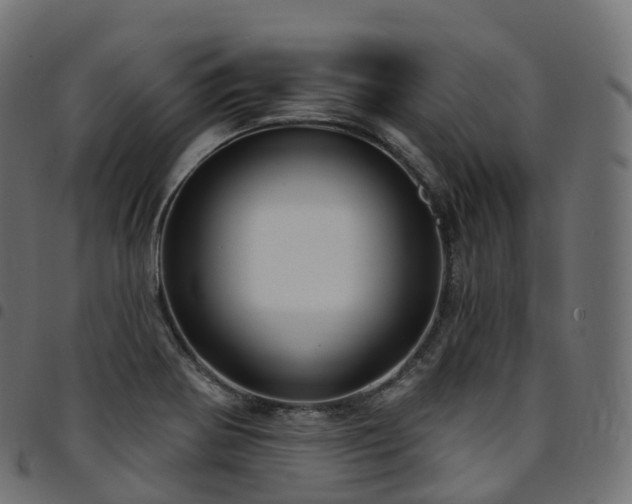 X0000094921370200711291302