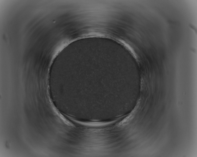X0000094921373200711291302