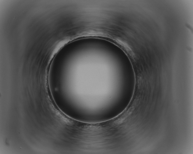X0000094921374200711291302
