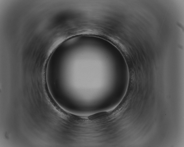 X0000094921375200711291302
