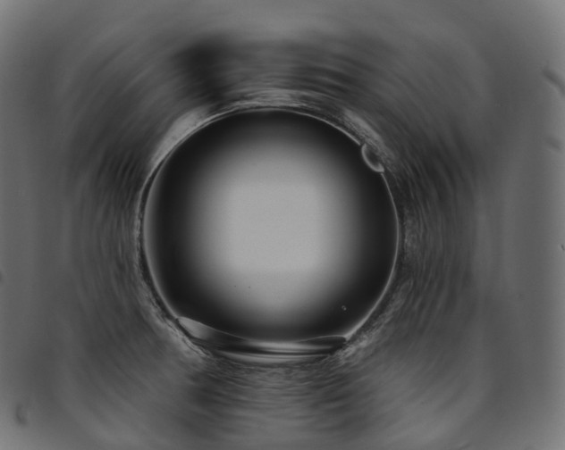 X0000094921378200711291302