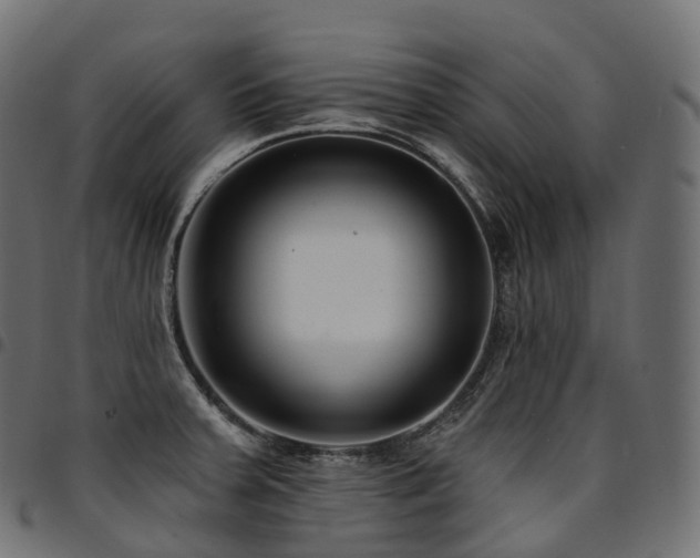 X0000094921379200711291302