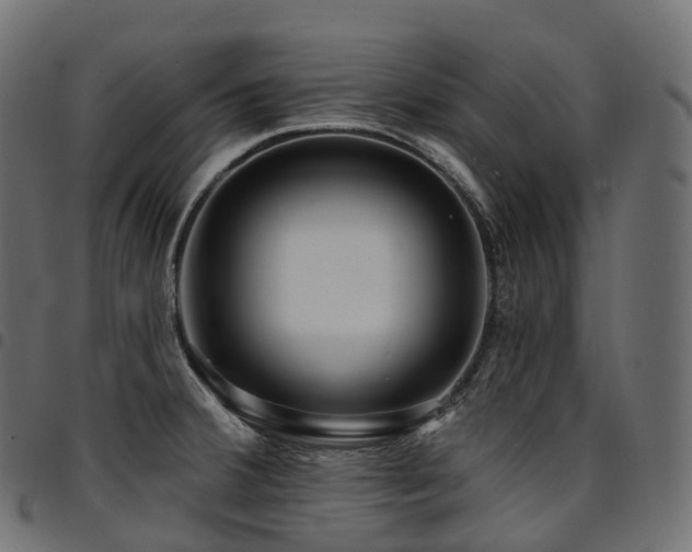 X0000094921380200711291302