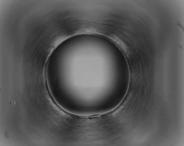 X0000094921382200711291302