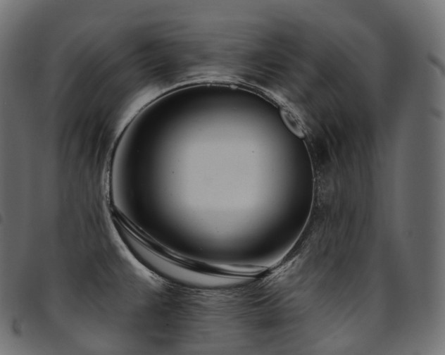 X0000094921383200711291302