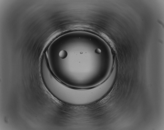 X0000094921384200711291302