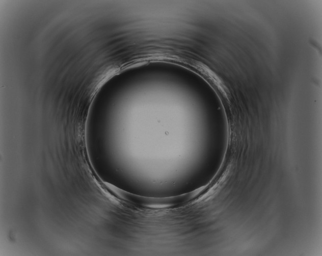 X0000094921385200711291302