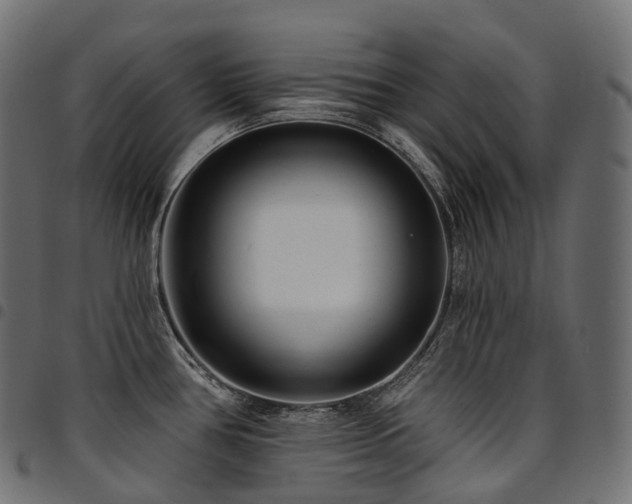X0000094921386200711291302