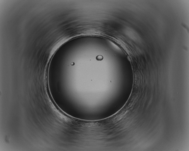 X0000094921387200711291302