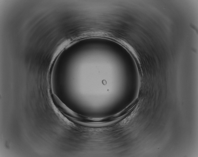 X0000094921389200711291302
