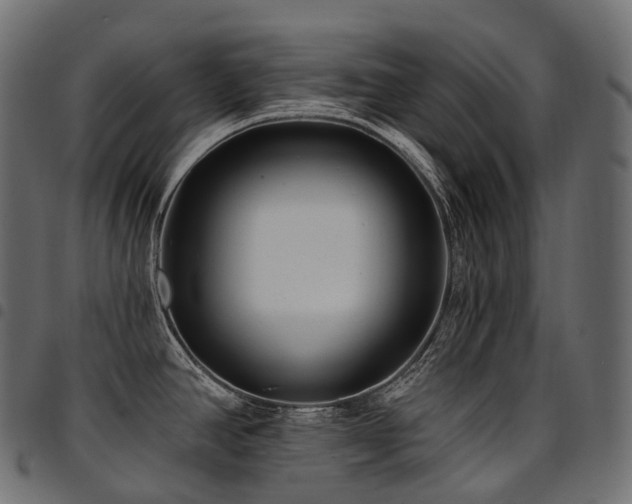 X0000094921390200711291302