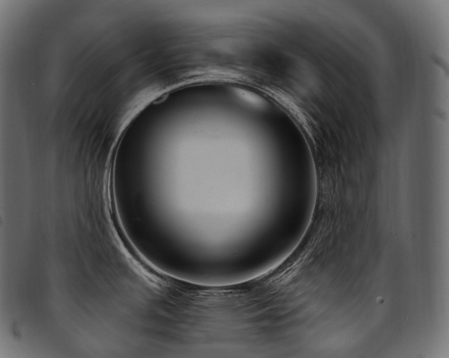 X0000094921391200711291302