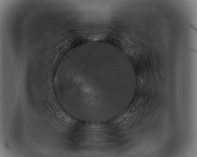 X0000094921393200711291301