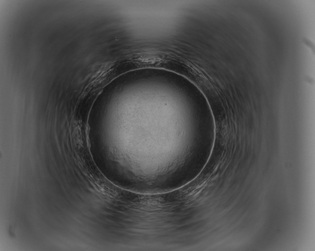 X0000094921394200711291301