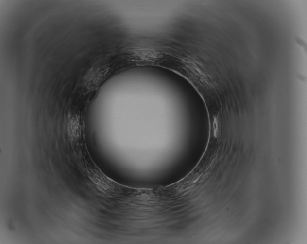 X0000094921395200711291302