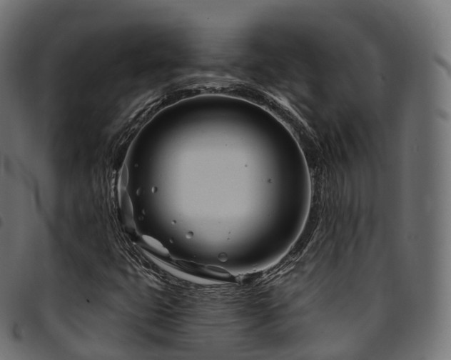 X0000094921399200711291302