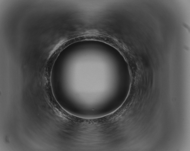X0000094921400200711291302