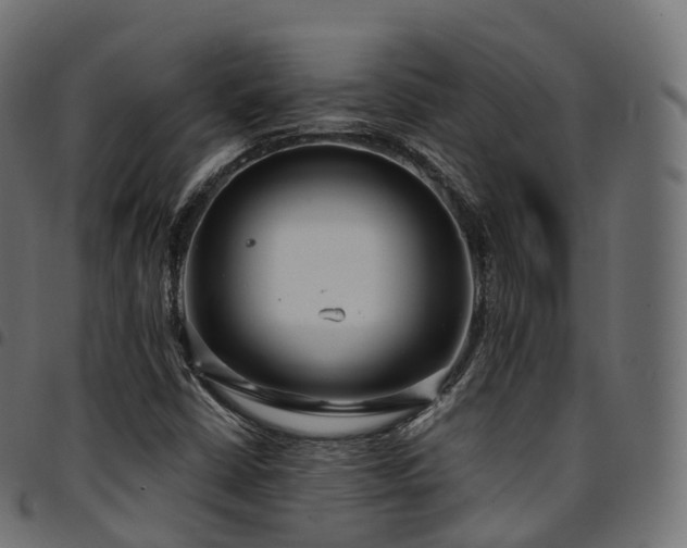 X0000094921402200711291302